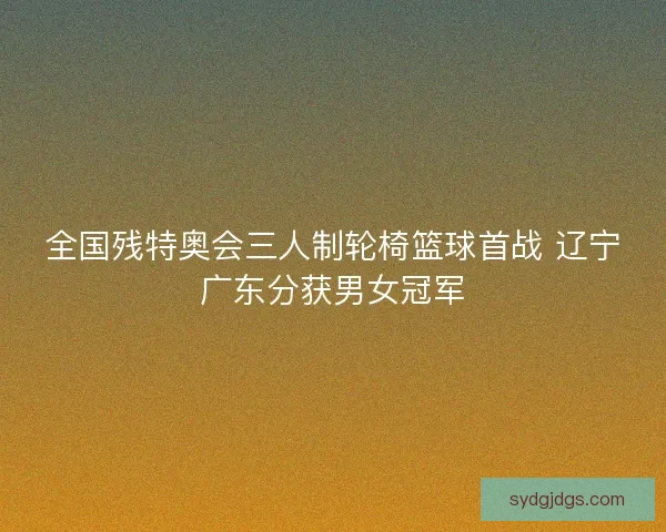 全国残特奥会三人制轮椅篮球首战 辽宁广东分获男女冠军